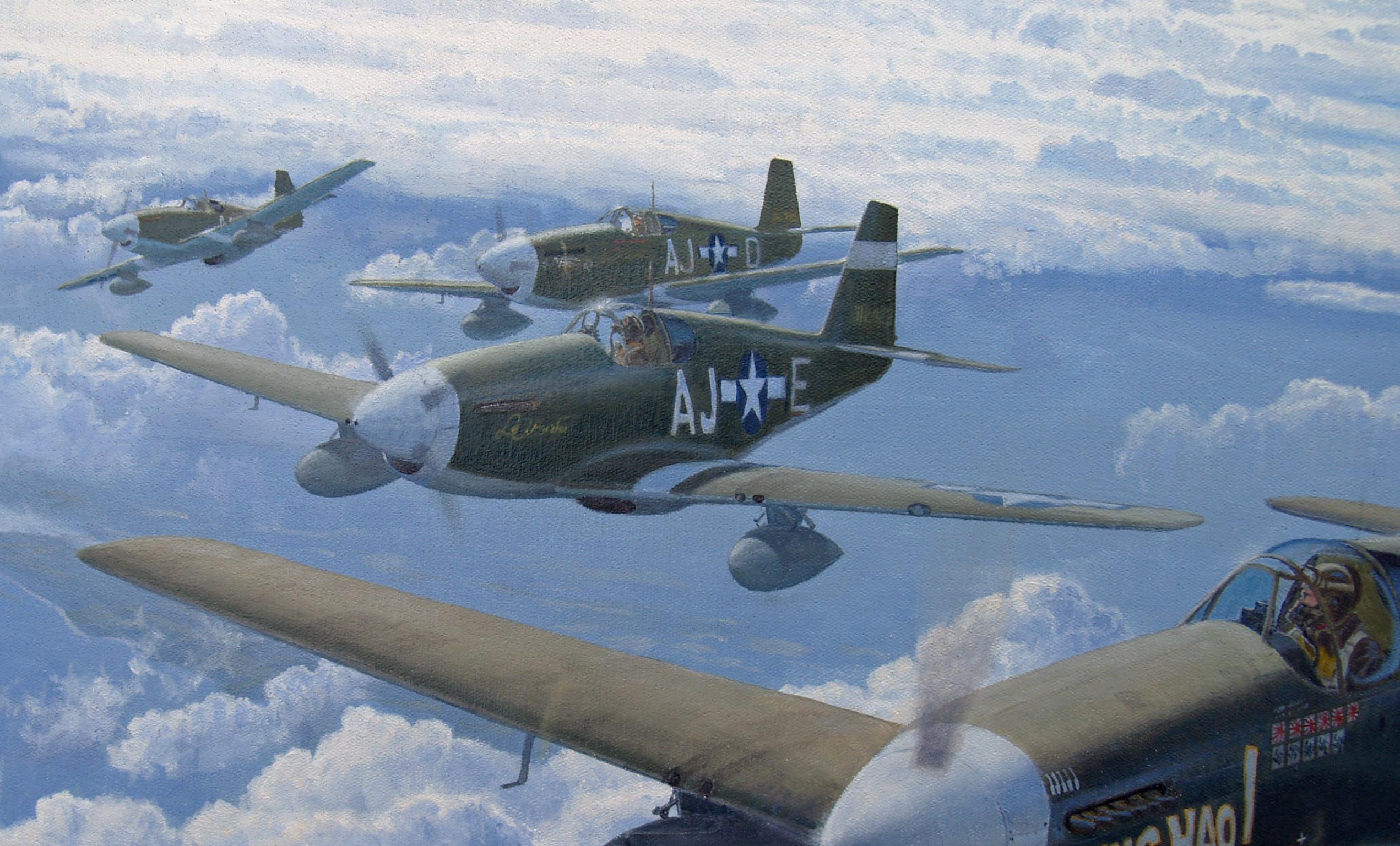 P51B painting of Ding Hao