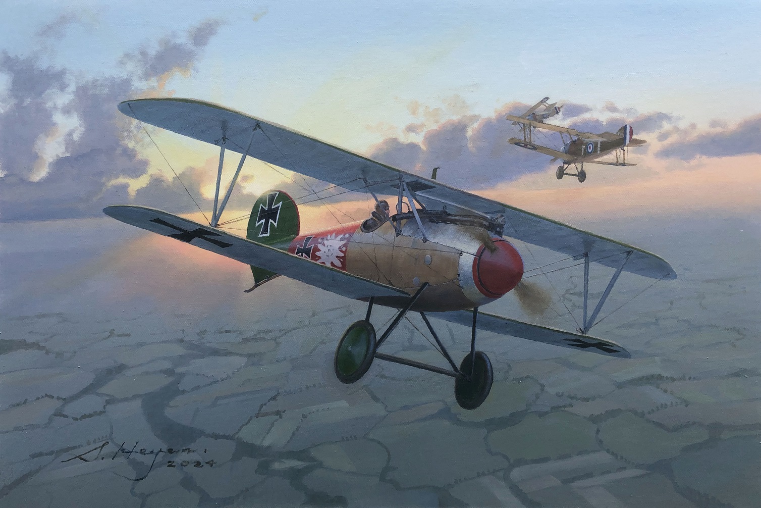 Albatross D-V painting