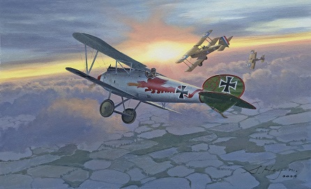 Albatross DV painting