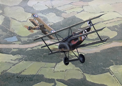 Fokker Dr1 painting