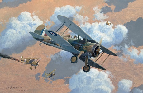 Gloster Gladiator print