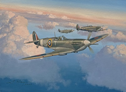 Spitfire Mk5 aviation art