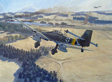 Stuka print