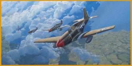 P-51 Mustang Nicholas Megura